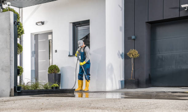 Best Gutter Cleaning  in Lake Lakengren, OH